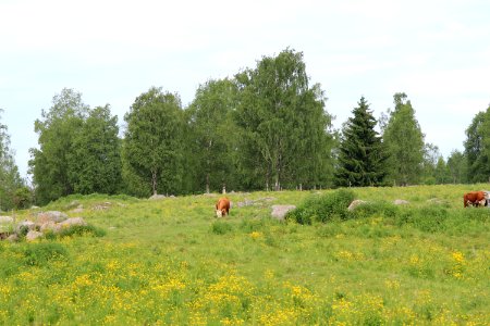 Hämeen Härkätien varrelta, Kanta-Häme photo