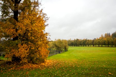 Aulanko Golf Hugo. Aulanko, Hämeenlinna, Finland. photo