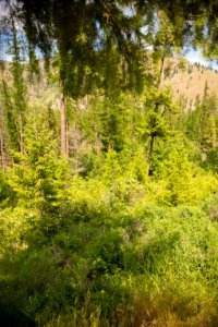 2192 NRCS projects