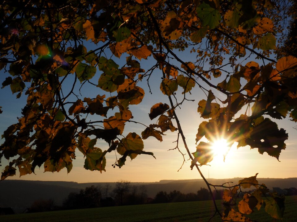 Sun linde backlighting