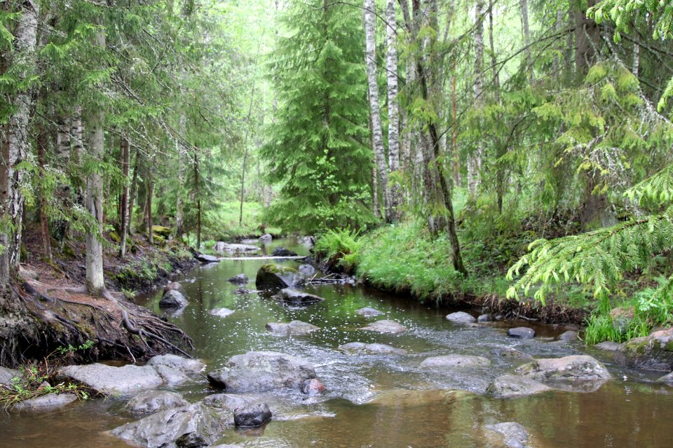 Käräjäkoski, Riihimäki