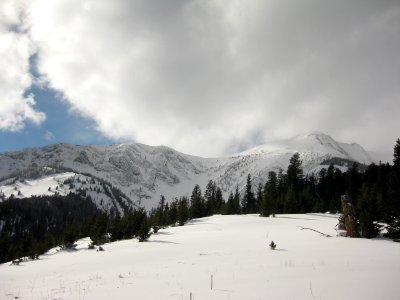 Snow023.jpg