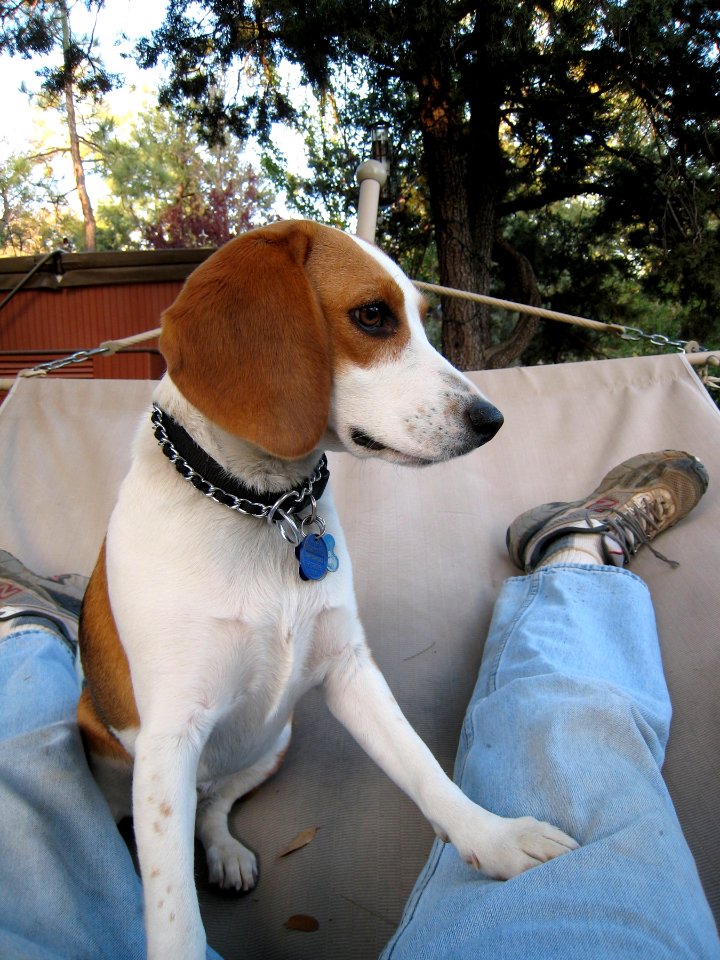 Me and Fresa on Hammock