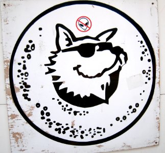 A Dog Named Biff
