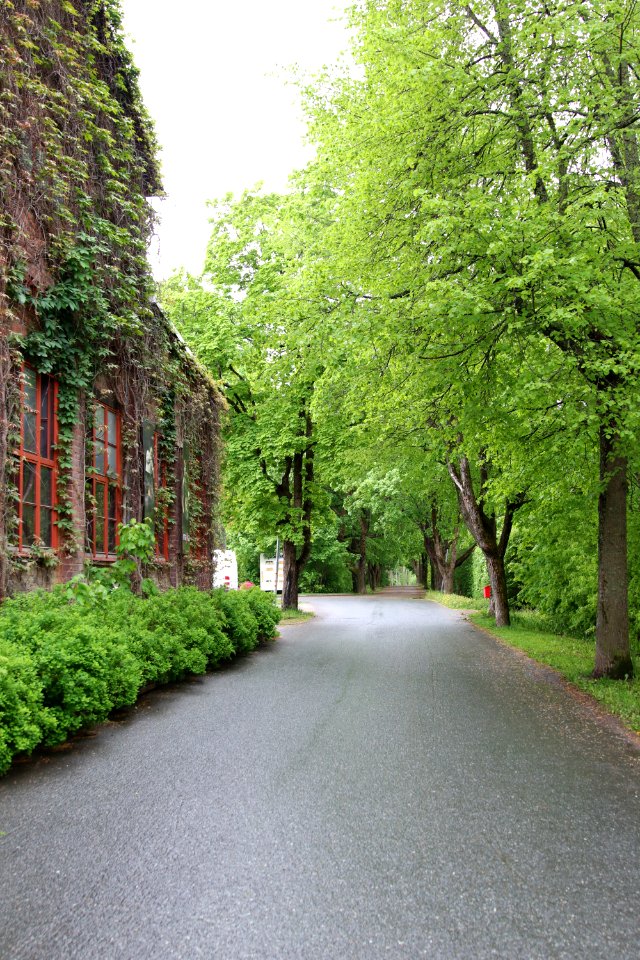 Hyttikortteli, Riihimäki
