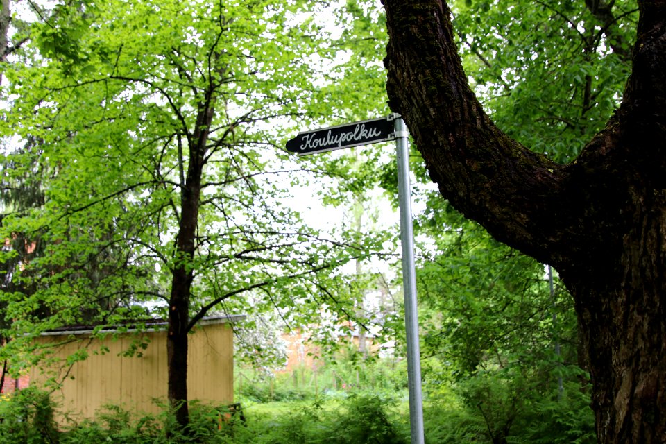 Hyttikortteli, Riihimäki
