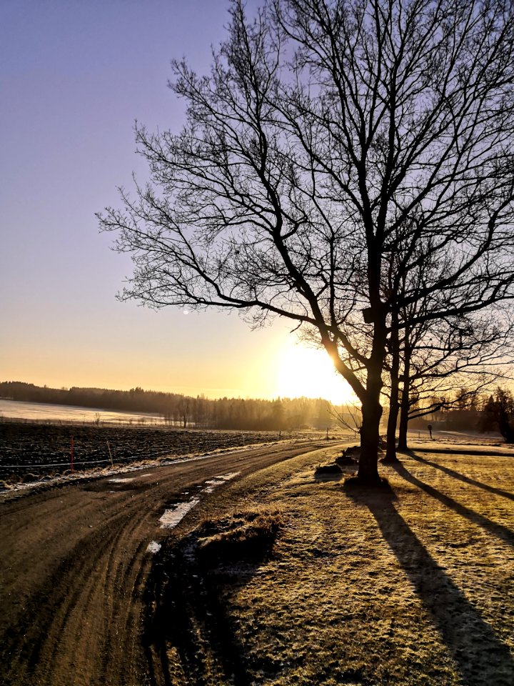Aikkolan Mattila, Hämeenlinna