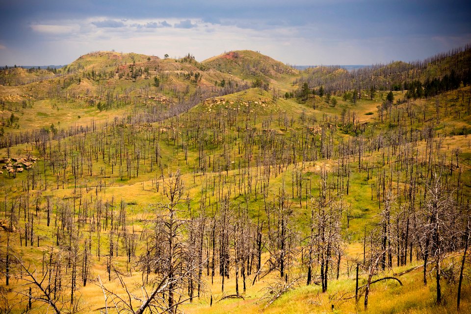 6492 NRCS projects.jpg