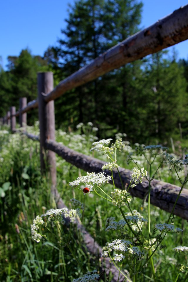 Elonkierto Jokioinen photo