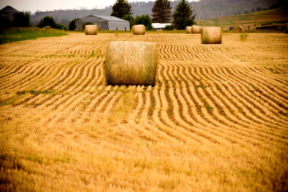 6443 NRCS projects.jpg