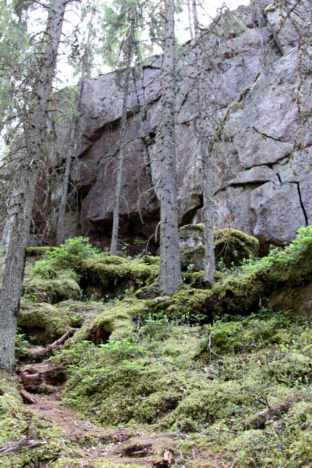 Unikonlinnan linnavuori, Janakkala