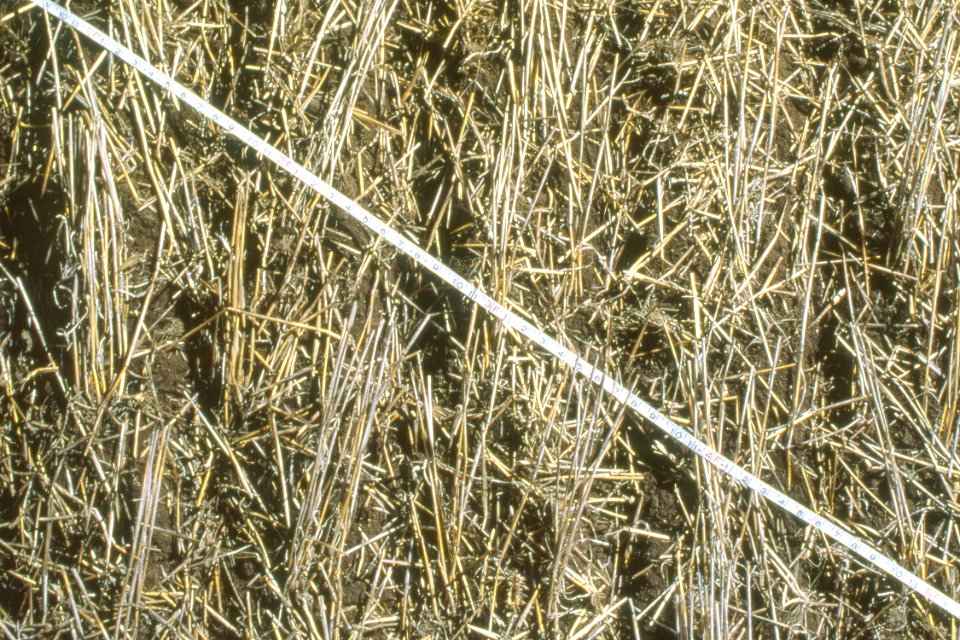 Crop Residue Management29.tif