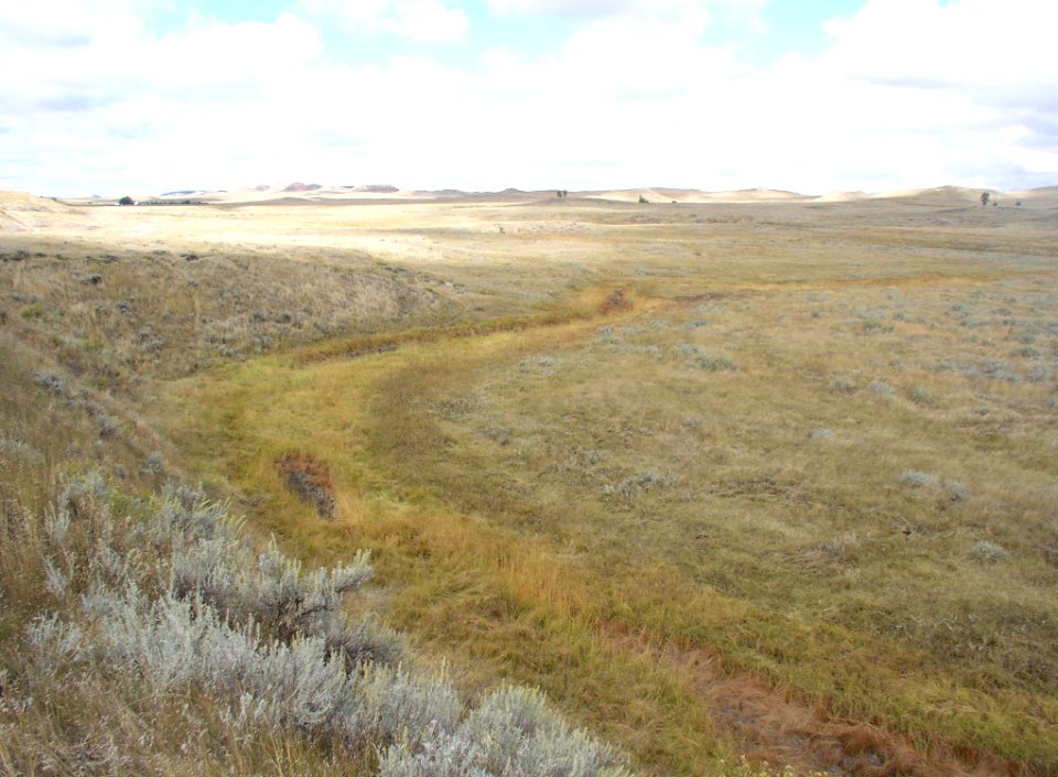 Riparian109.tif
