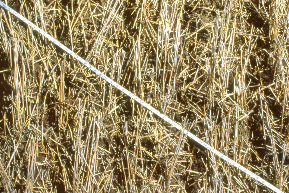 Crop Residue Management30.tif