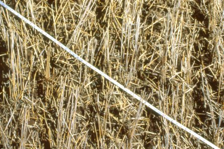 Crop Residue Management30.tif