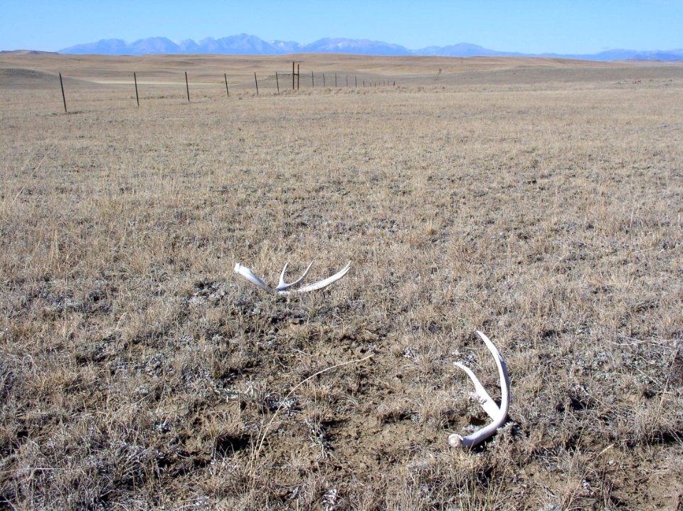 Rangeland128.tif