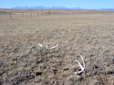 Rangeland128.tif