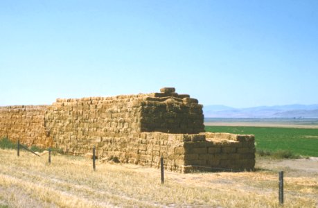 Hay06.tif