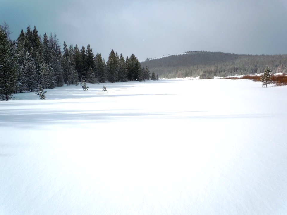 Snow010