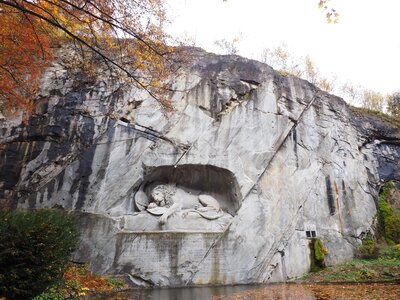 Dying relief swiss conservation