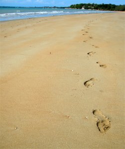Friday Was Here