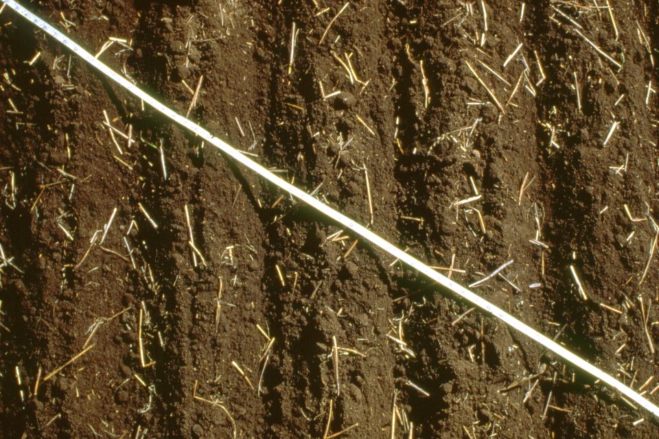 Crop Residue Management23.tif