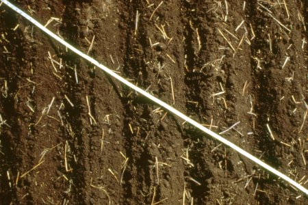 Crop Residue Management23.tif