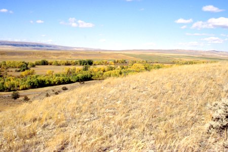 Rangeland85.tif