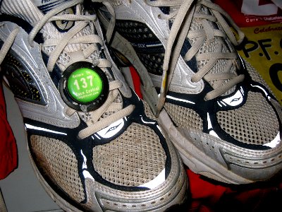 Fly, Shoes, Fly