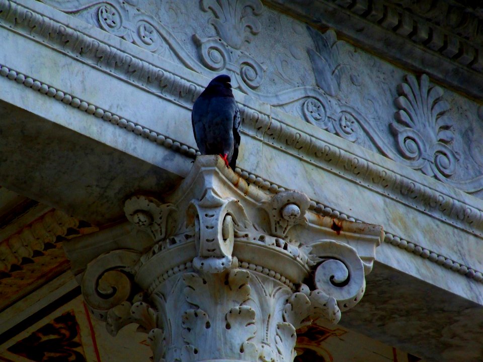 Palermo Sicily Italy - Creative Commons by gnuckx
