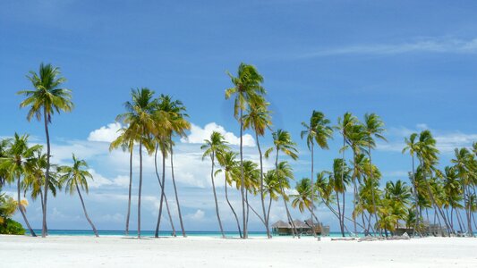 Holiday lankanfushi island