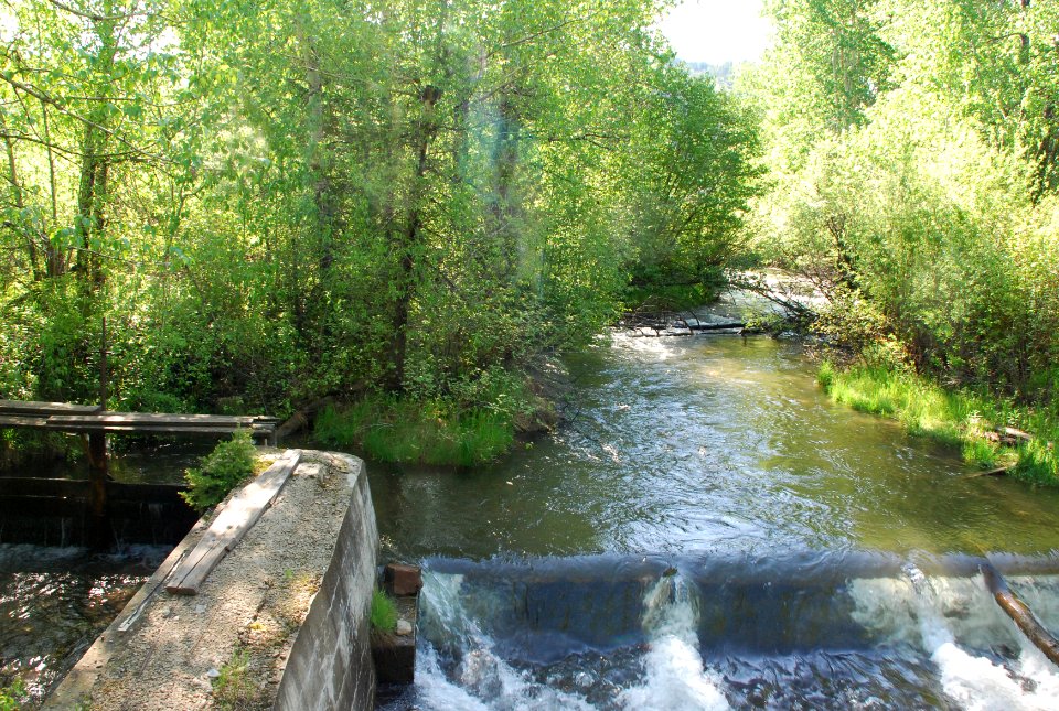 Irrigation91