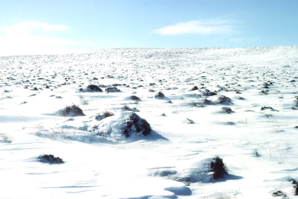 Rangeland111.tif