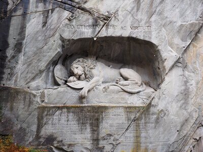 Dying relief swiss conservation