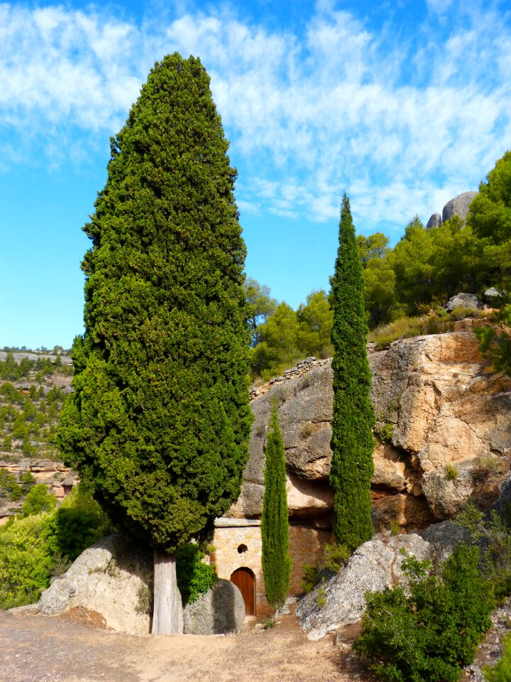 Priorat cypress montsant