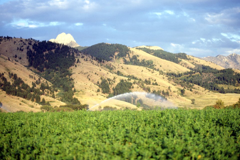 Irrigation05.tif