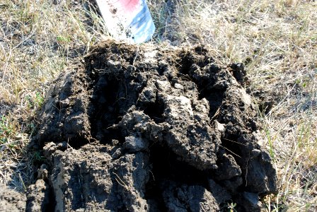 Soil Survey133