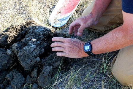 Soil Survey135