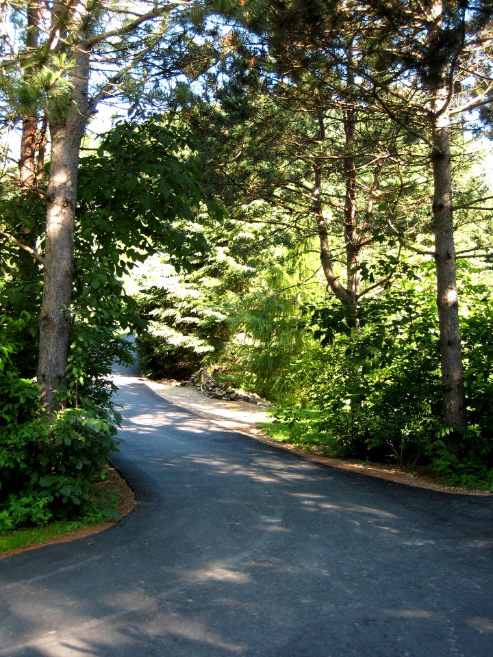 Wooded Drive