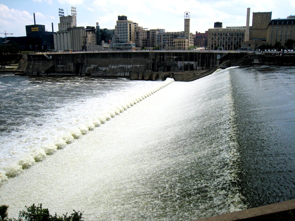 Water Plant