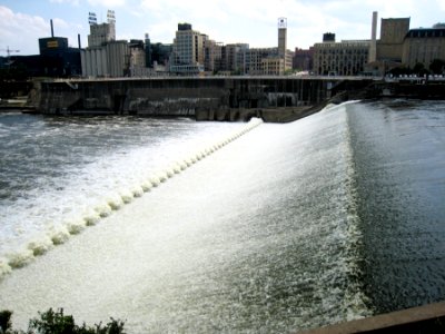 Water Plant