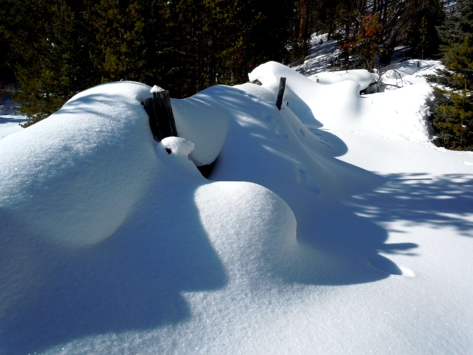 Snow009