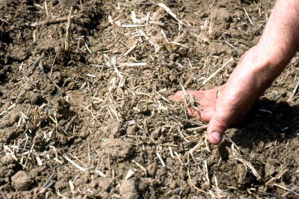 Crop Residue Management11.tif