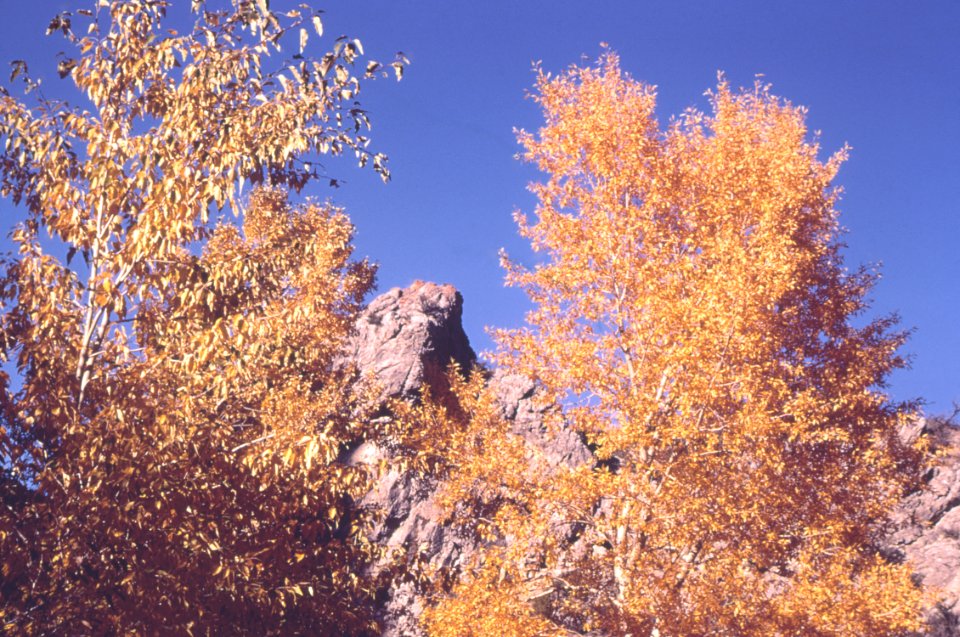 Scenic07.tif