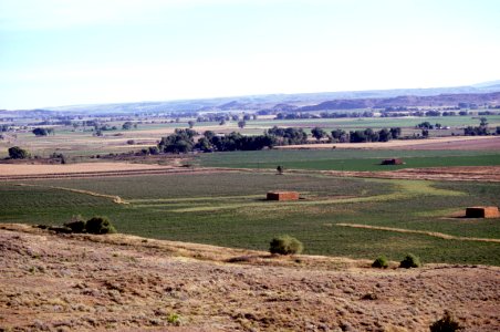 Crops56.tif