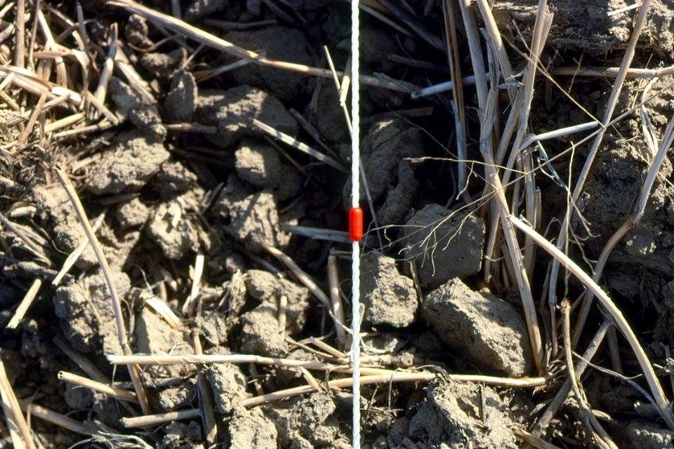 Crop Residue Management06.tif