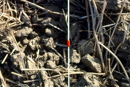 Crop Residue Management06.tif