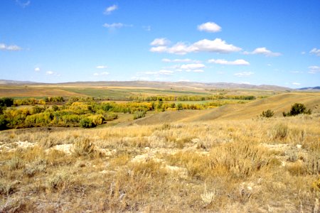 Rangeland84.tif