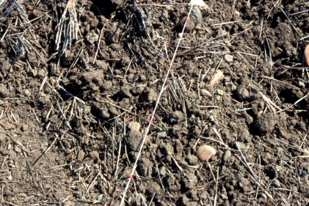 Crop Residue Management08.tif