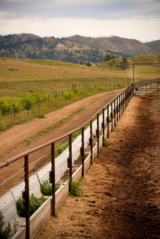6361 NRCS projects.jpg